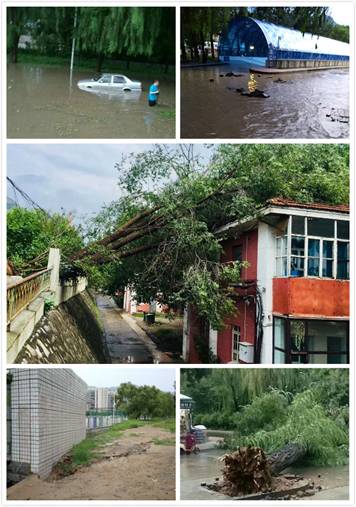 http://oa.nuc.edu.cn:8048/zfoa/userfiles/images/1534235913105.jpg